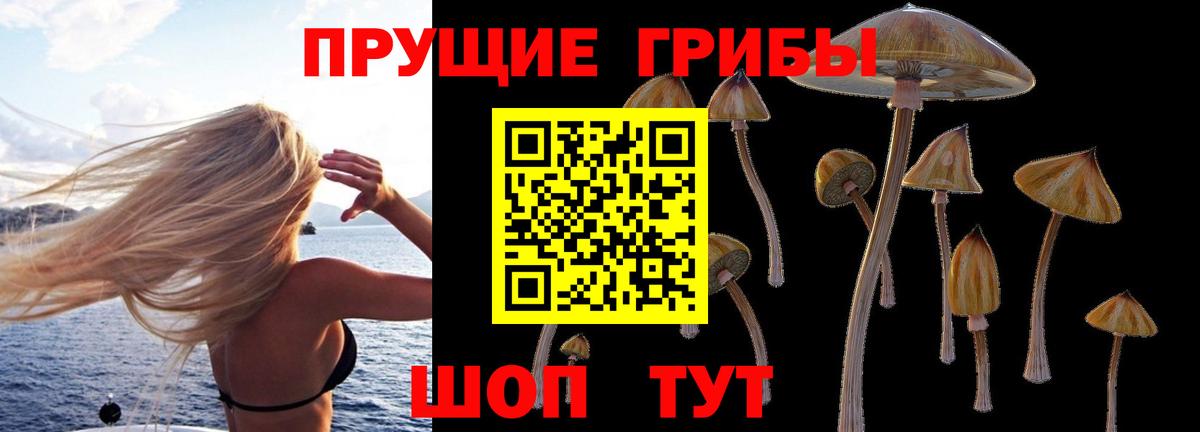 Галлюциногенные грибы прущие грибы Чебоксары